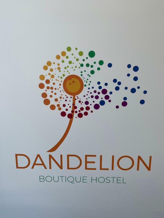 Dandelion Hostel Zadar Exterior photo
